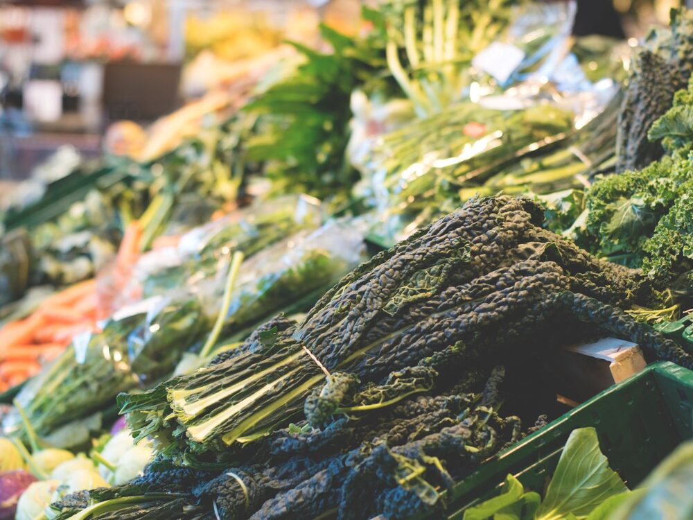 Fresh rescued produce ready to share with the community